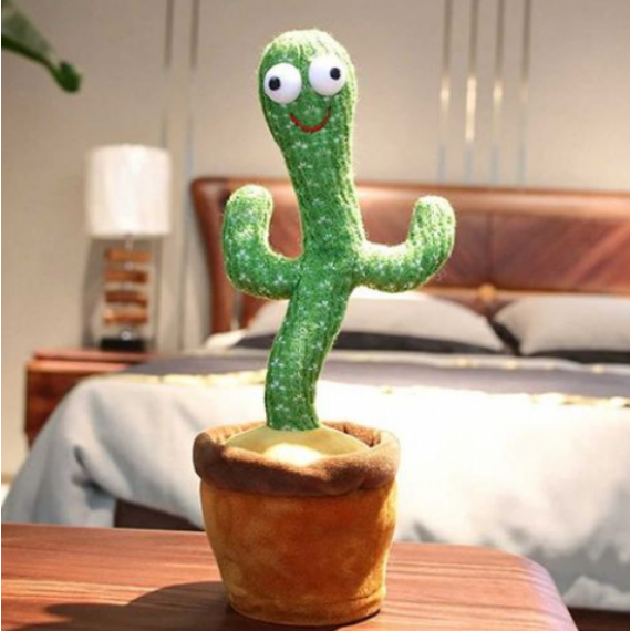 táncoló kaktusz