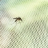 Kép 4/4 - Szúnyogháló - Méretre szabható - Öntapadós tépőzáras